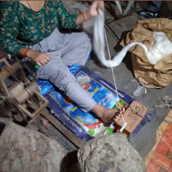 Wool Carding and spinning